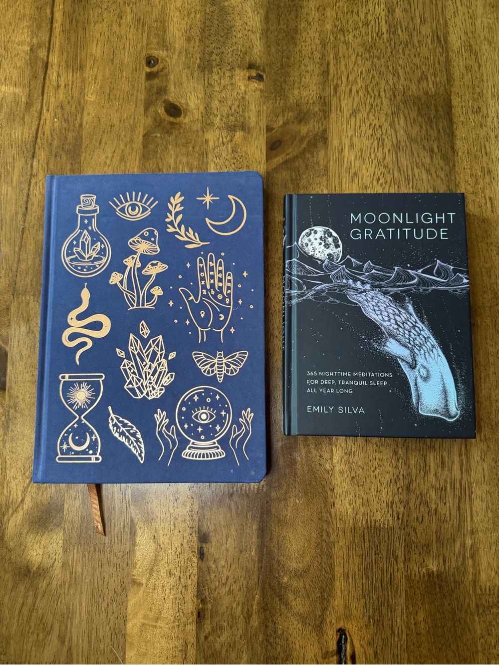 Book Bundle: Moonlight Gratitude by Emily Silva & Blank Journal - 2 Item Lot